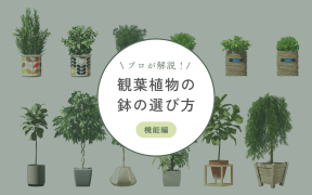 観葉植物の鉢の選び方～機能編～