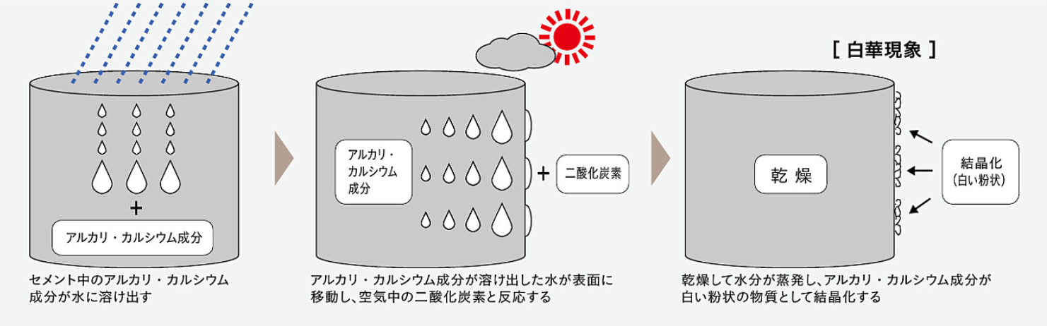 白華現象発生の仕組み