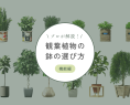 観葉植物の鉢の選び方～機能編～